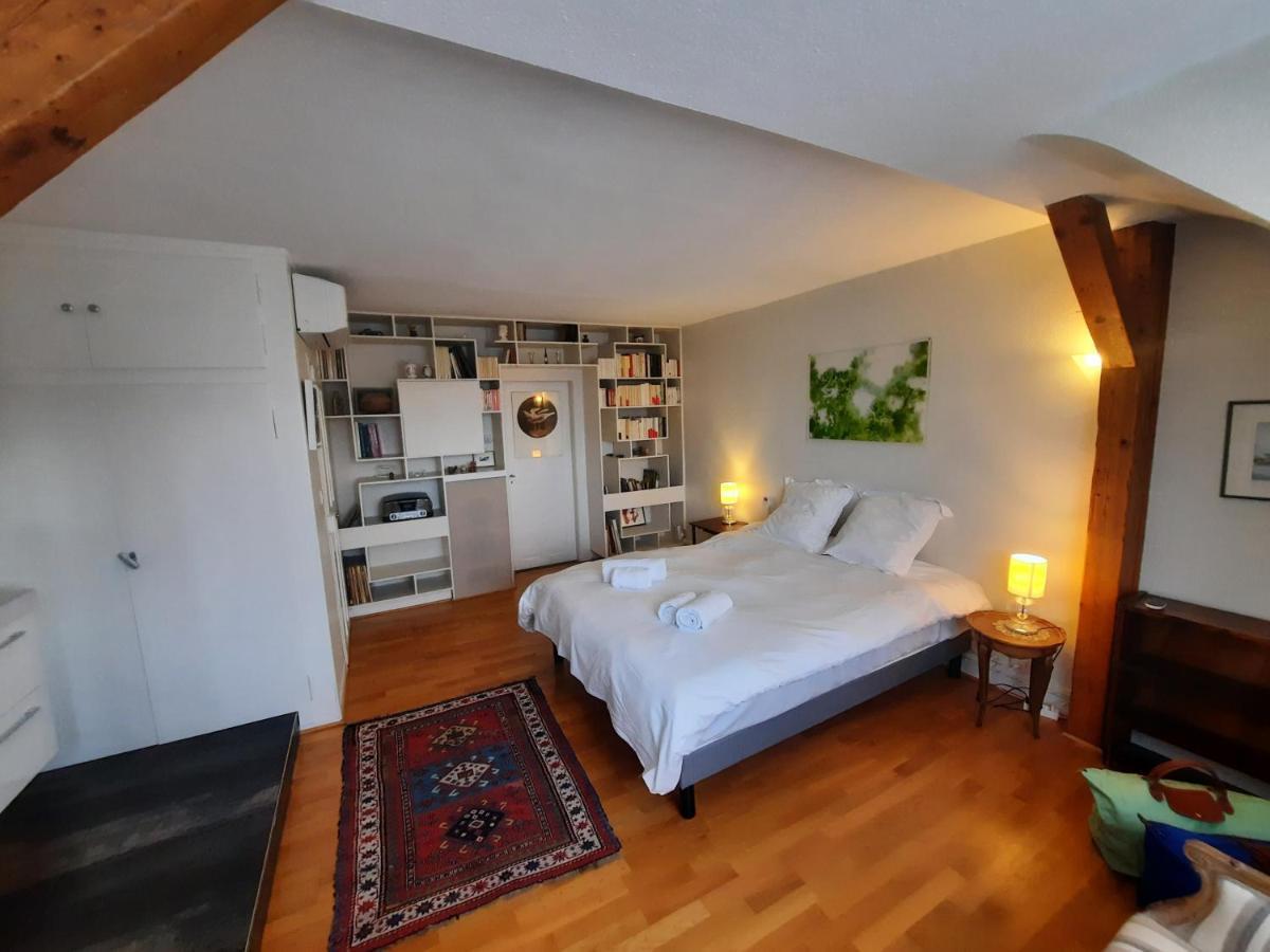 145M² City Center 4 Bedrooms View Of The Cathedral ストラスブール エクステリア 写真