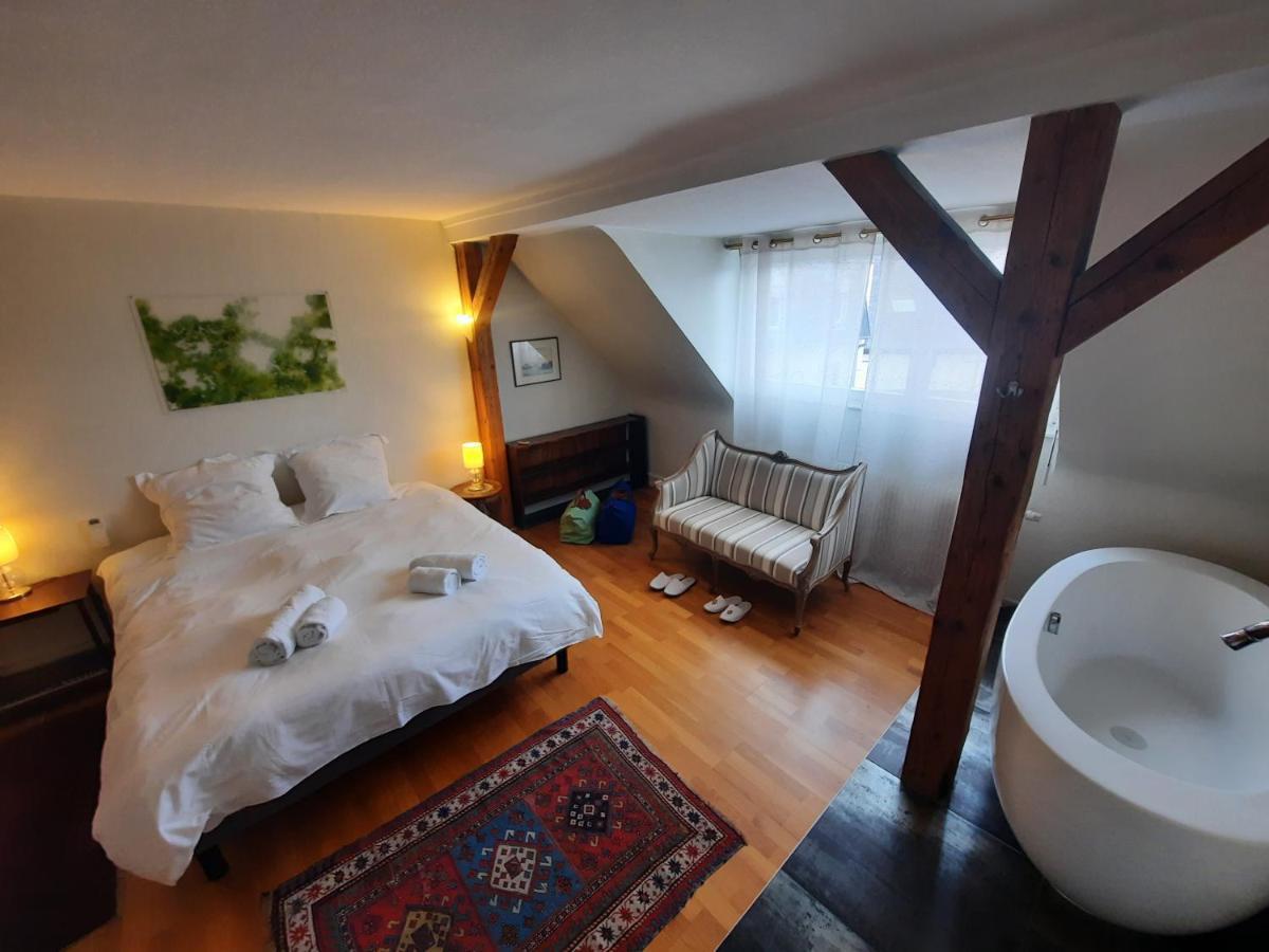 145M² City Center 4 Bedrooms View Of The Cathedral ストラスブール エクステリア 写真